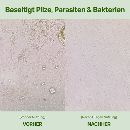 BLACK WEEK SALE - OregaMix