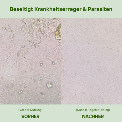 BLACK WEEK SALE - OregaMix