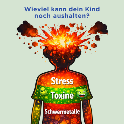 Alimora - Schutz Gummies